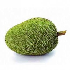 Raw Jackfruit ( Seasonal )