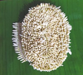 Mangalore Mallige