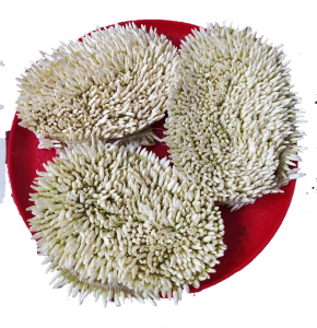 Mangalore Mallige